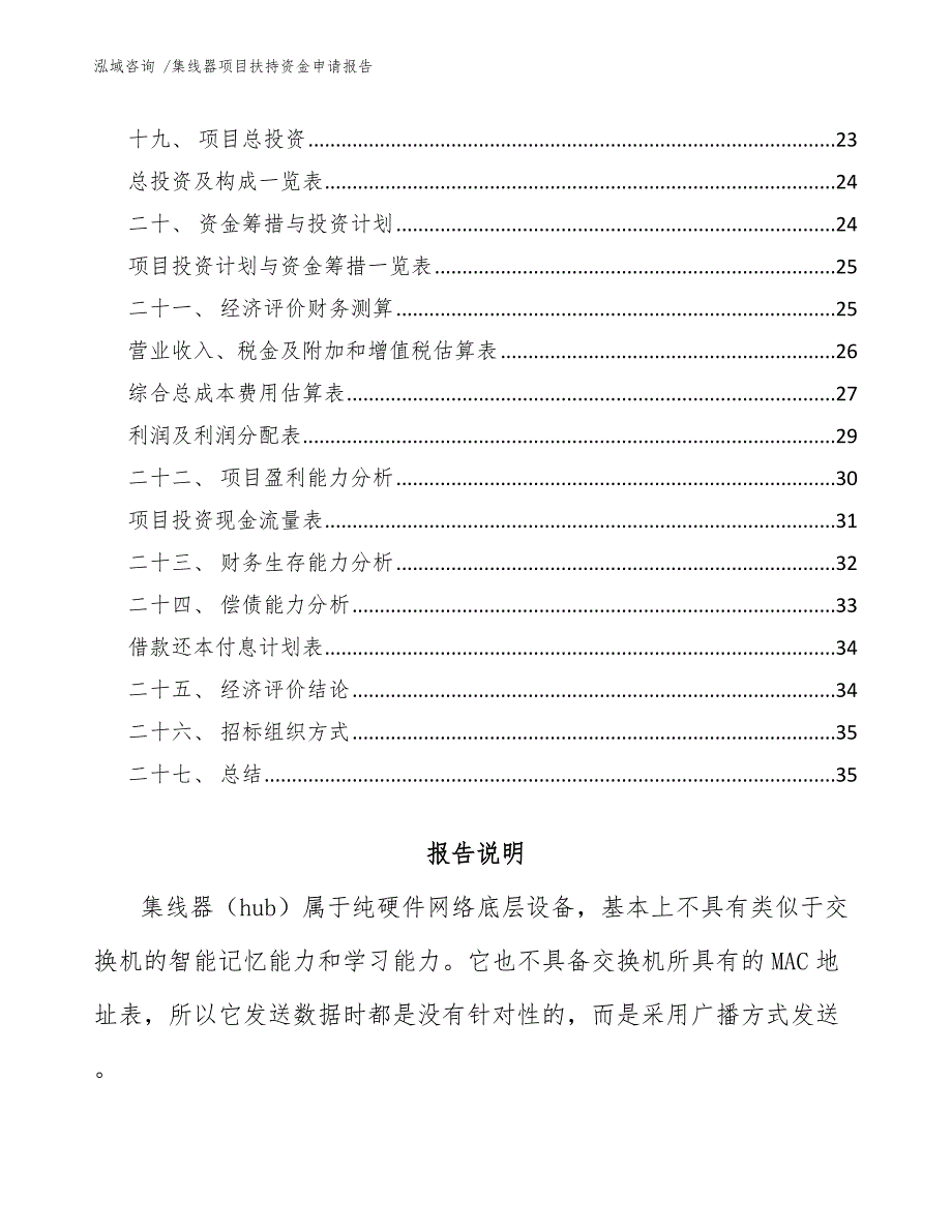 集线器项目扶持资金申请报告（模板参考）_第2页