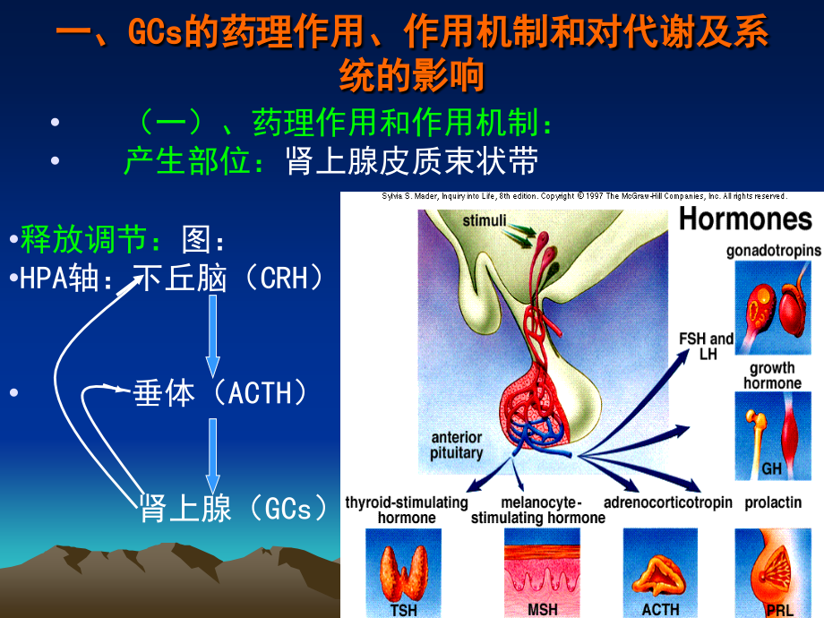 执业药师-皮质激素讲课教案_第3页