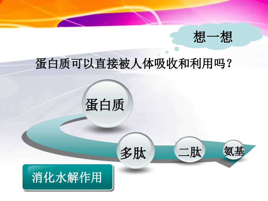 (生物22生命活动的主要承担者蛋白质课件2(人_第4页