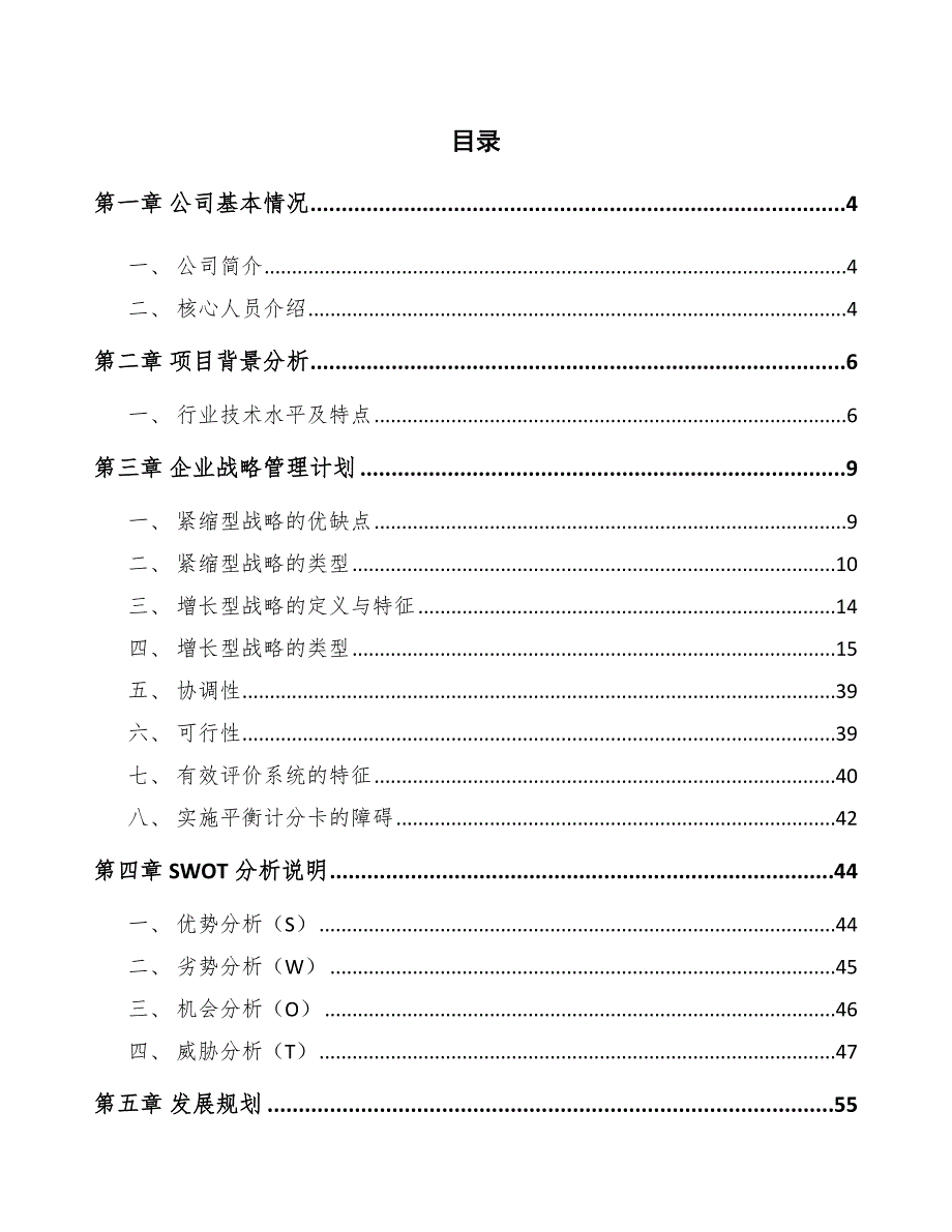 精细化学品公司企业战略管理计划_第2页