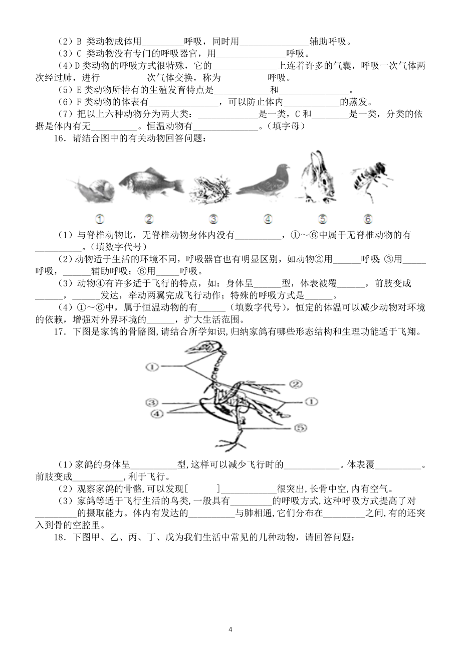 初中生物中考总复习《动物的主要类群》专项练习（附参考答案）_第4页