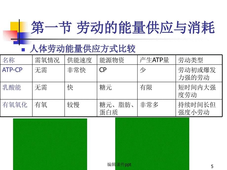 《人体劳动生理特征》PPT课件_第5页