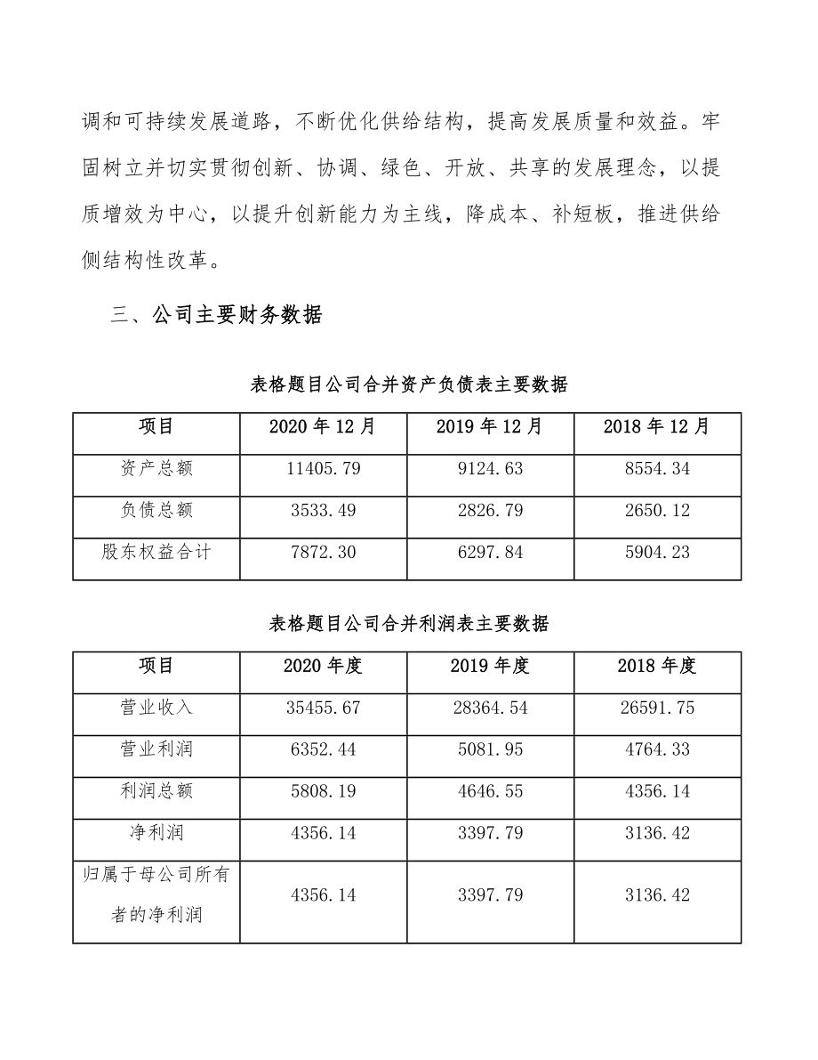 胶粘带公司经营管理规划_参考_第4页