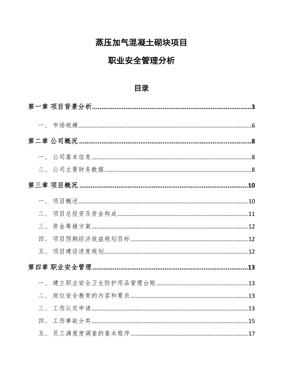 蒸压加气混凝土砌块项目职业安全管理分析（参考）_第1页