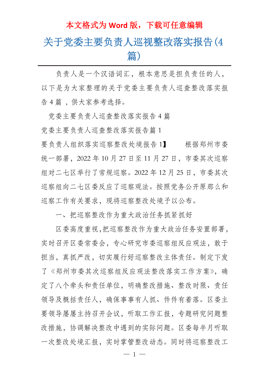 关于党委主要负责人巡视整改落实报告(4篇)_第1页