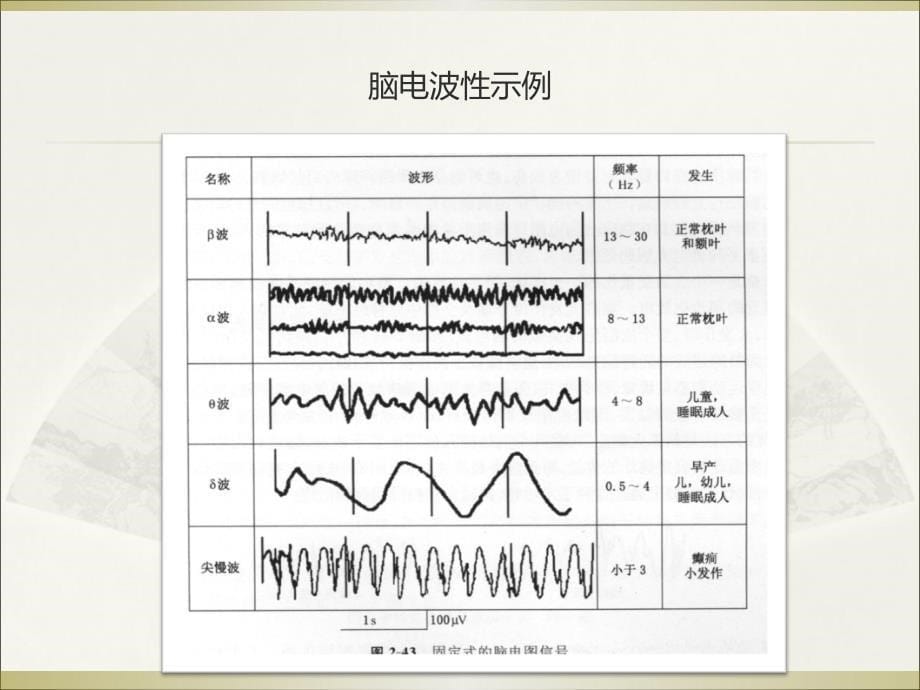 脑电测量原理与方法资料_第5页