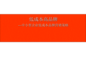 低成本高品牌(PPT31页)