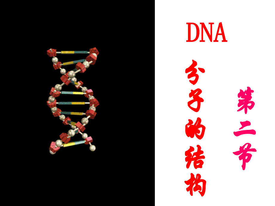 第二节DND分子的结构_第1页