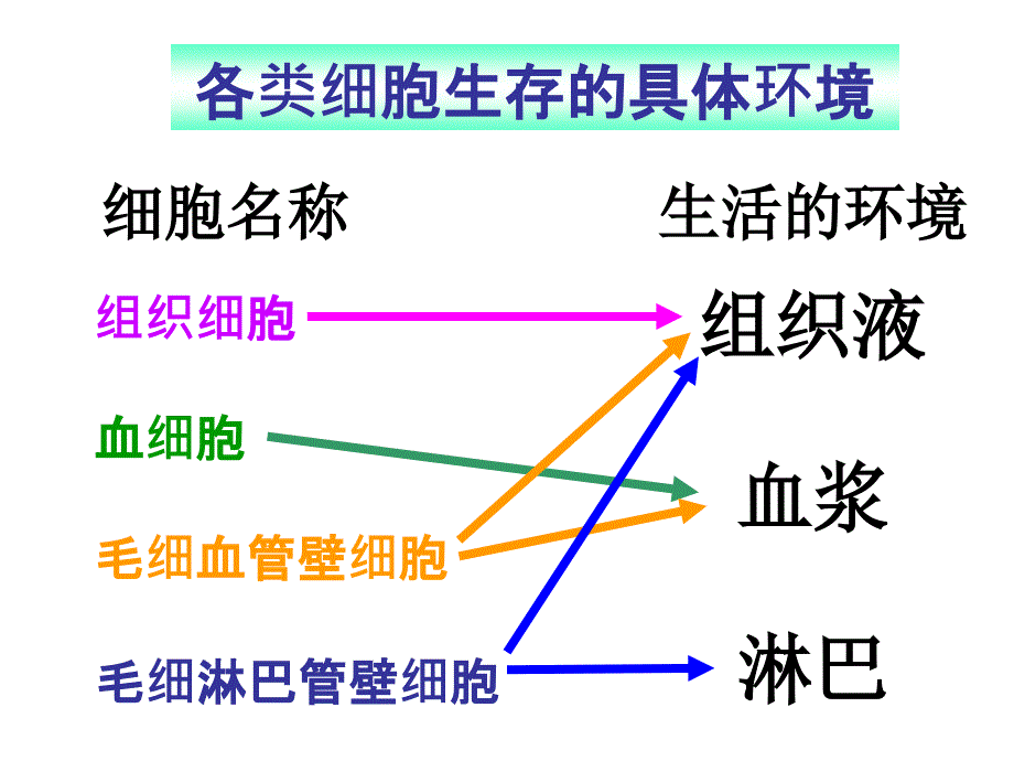 第一节细胞生活的环境(1)_第4页