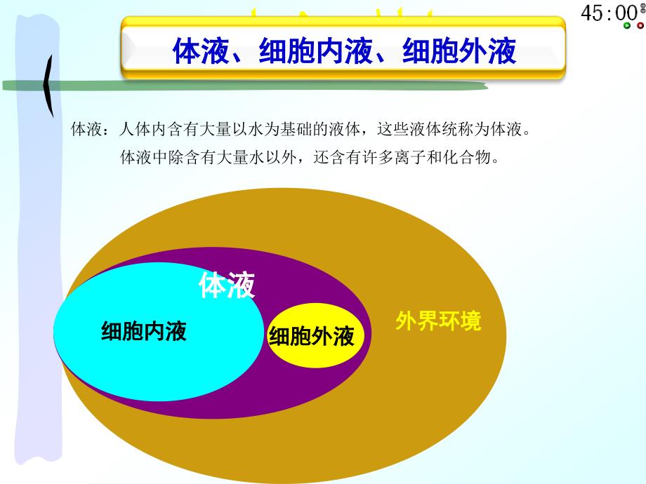 内环境课件_第2页