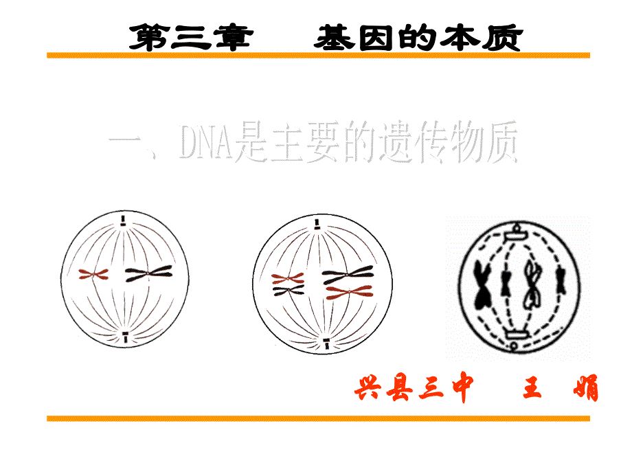 第1节DNA是主要的遗传物质(1)_第1页