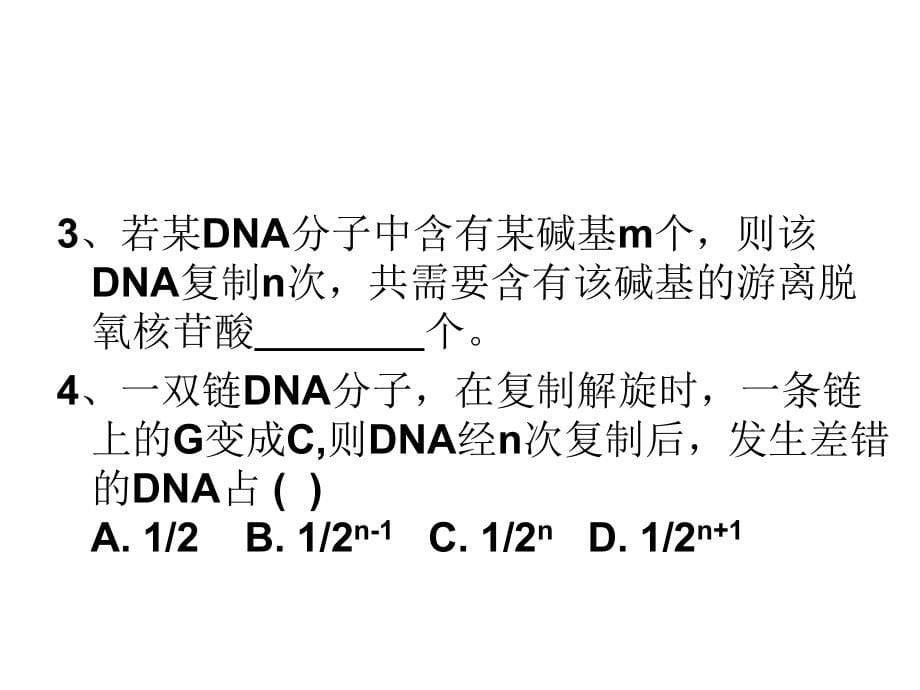 第3节 DNA的复制１_第5页