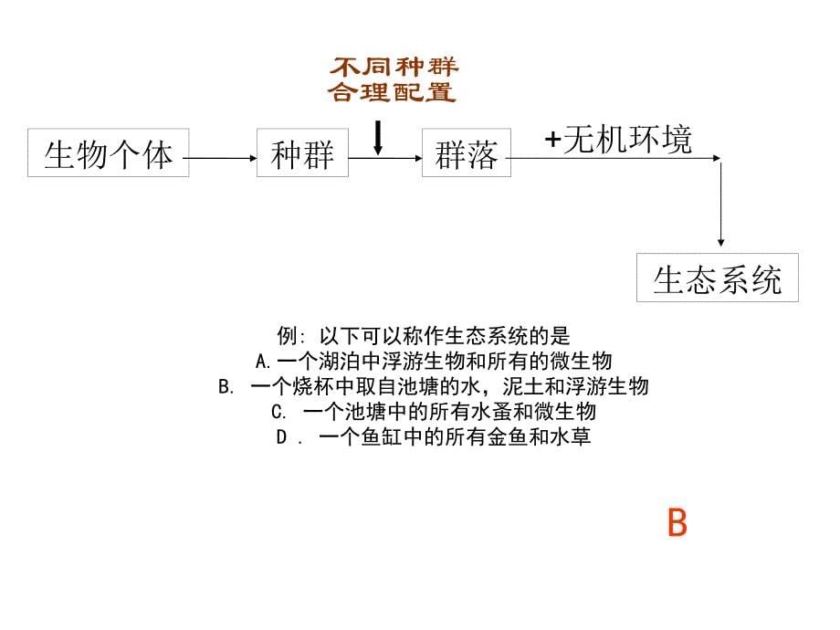 第1节生态系统的结构4_第5页