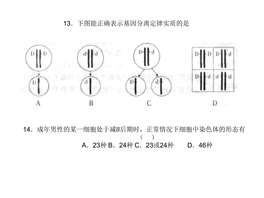 第一节基因突变和基因重组_第1页