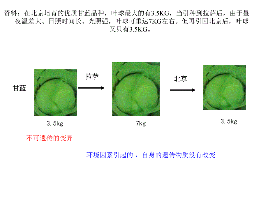 第一节基因突变和基因重组_第3页