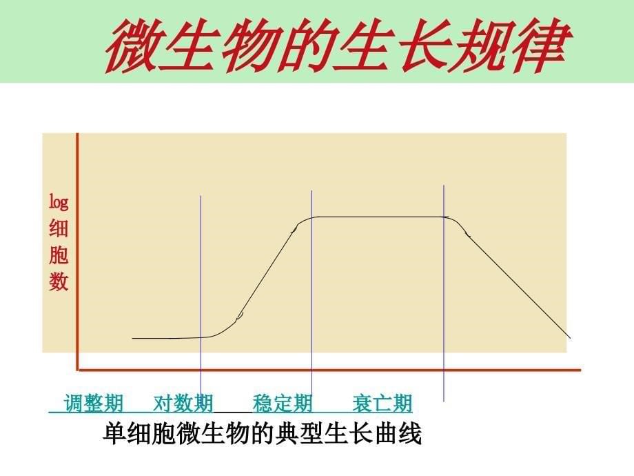 31 微生物发酵及其应用１_第5页