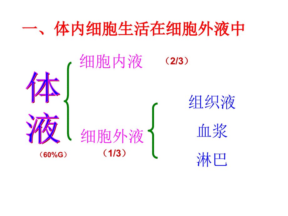 第一章第一节　细胞生活的环境_第4页