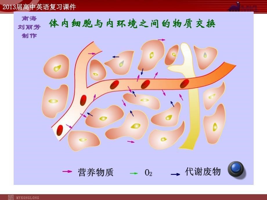 第一章第一节　细胞生活的环境_第5页