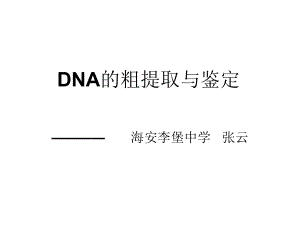 51DNA的粗提取2