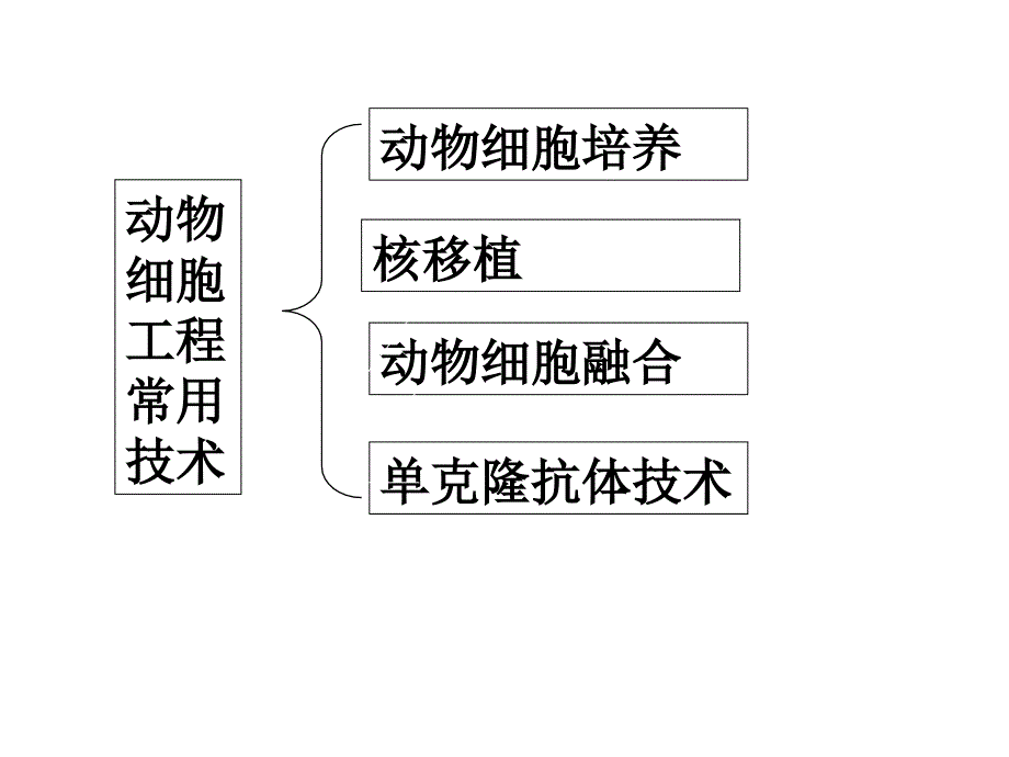 22动物细胞工程_第2页