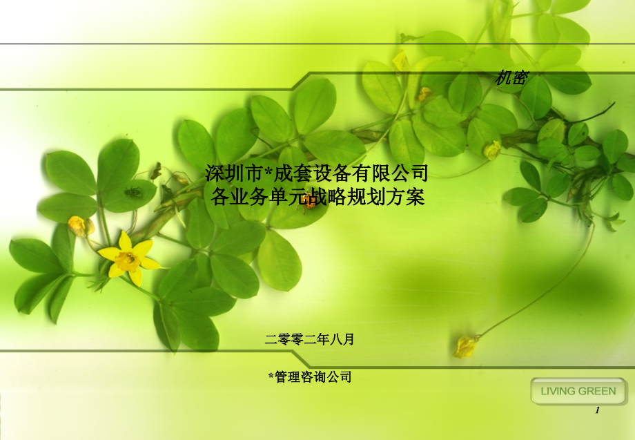 毕博——某品牌有限公司战略业务规划(PPT228页)_第1页