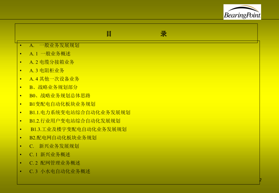 毕博——某品牌有限公司战略业务规划(PPT228页)_第2页