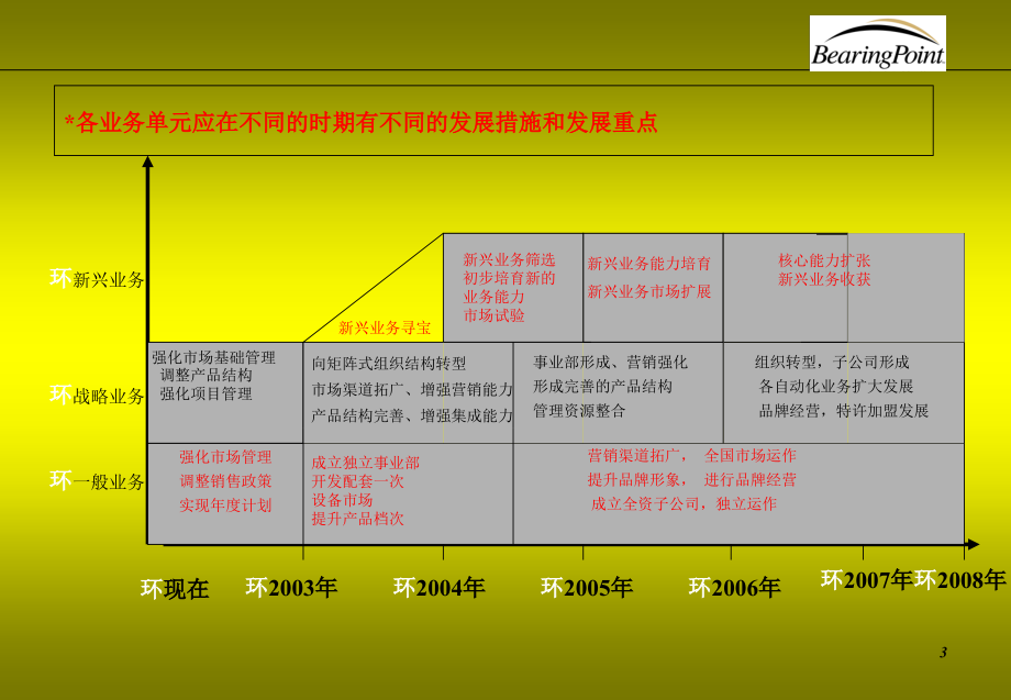 毕博——某品牌有限公司战略业务规划(PPT228页)_第3页