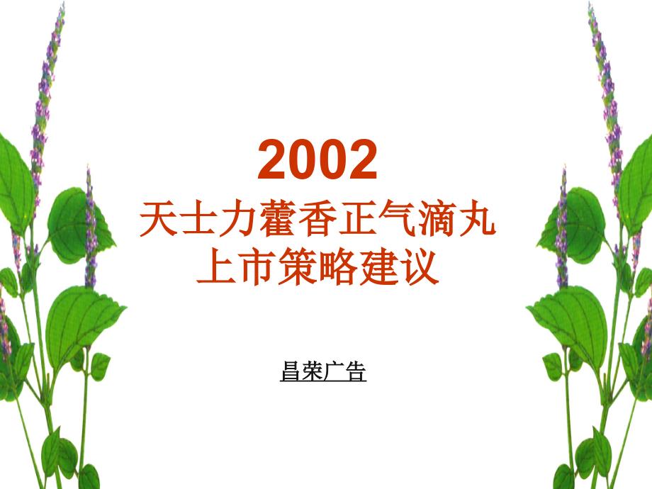 产品上市策划案天士力藿香正气滴丸上市策略建议_第1页