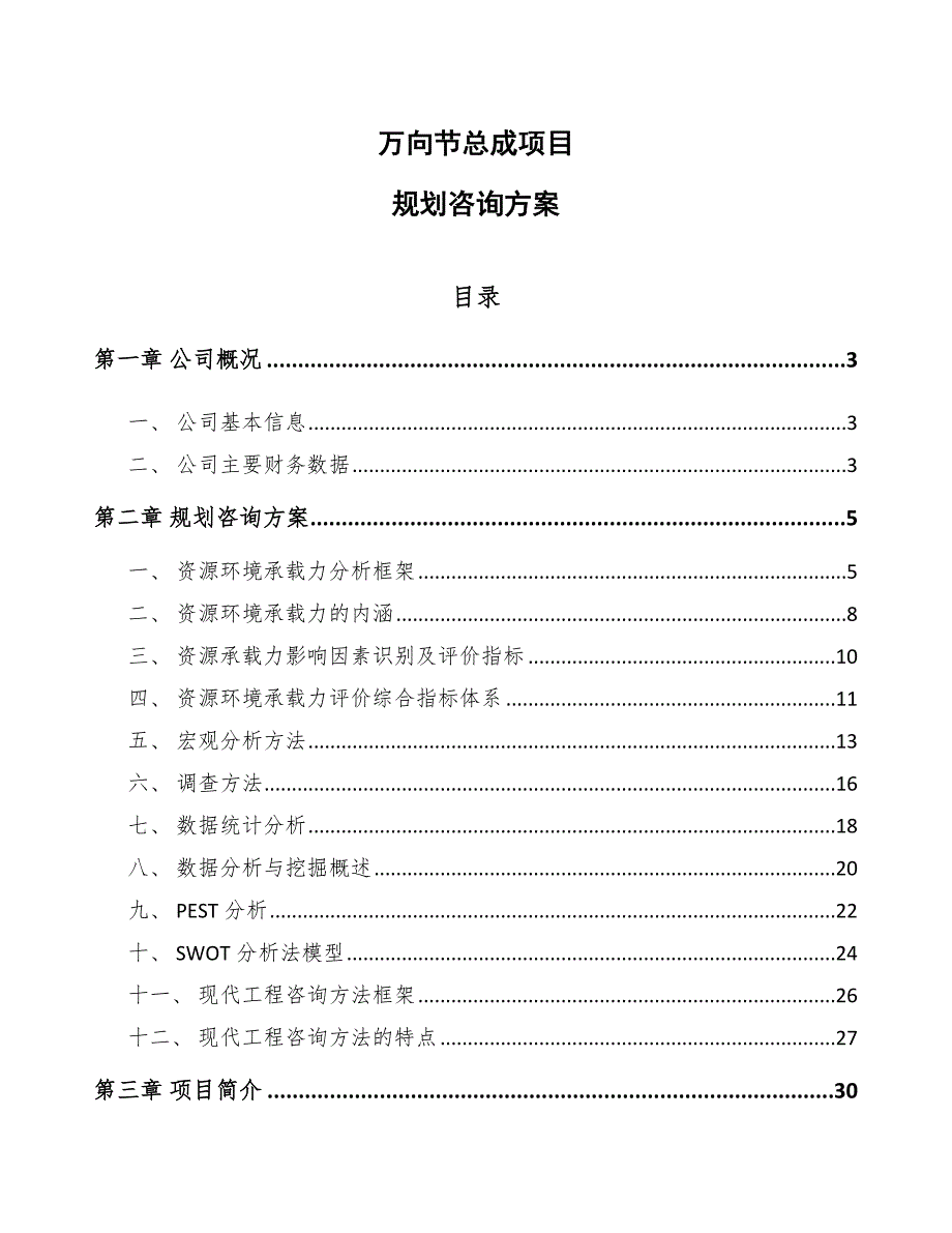 万向节总成项目规划咨询方案【范文】_第1页