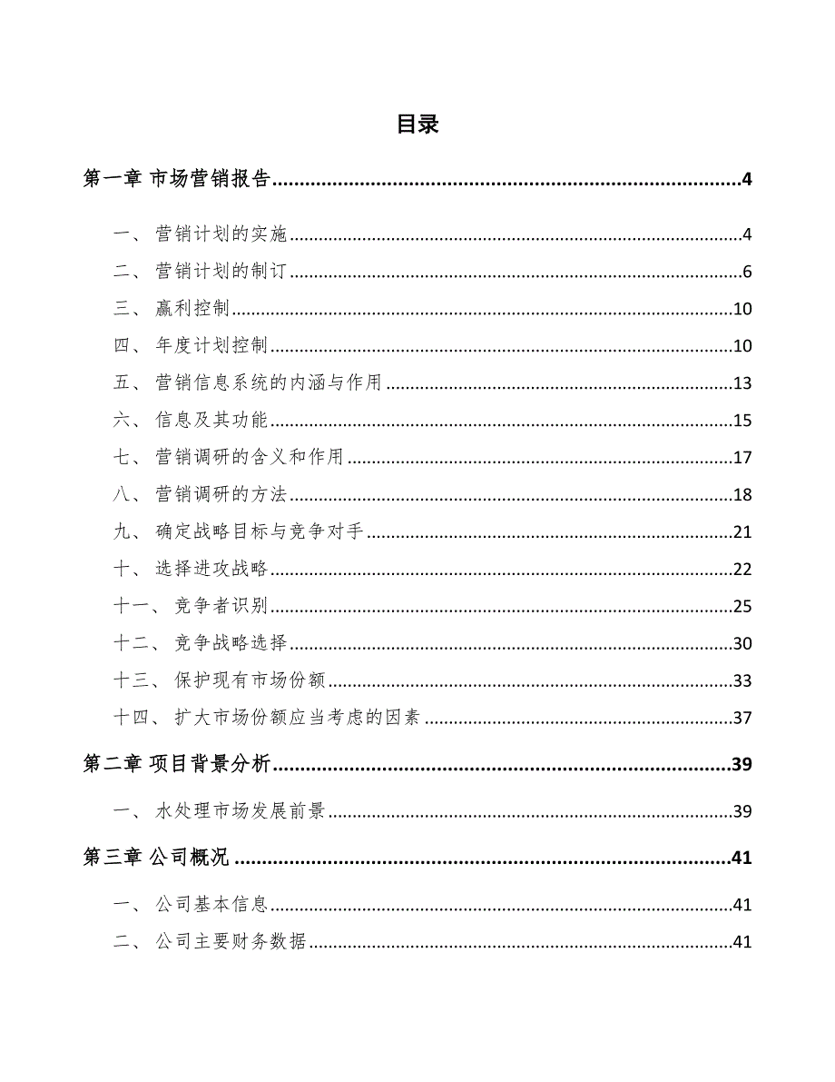 丙烯酰胺公司市场营销报告（范文）_第2页