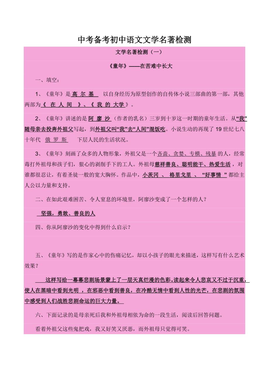 中考备考初中语文文学名著检测_第1页