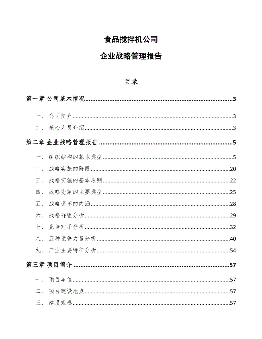 食品搅拌机公司企业战略管理报告_参考_第1页