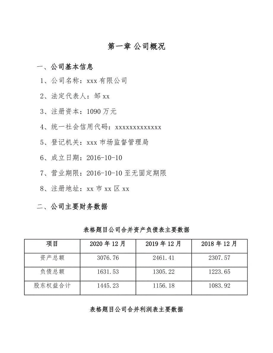 食品搅拌机公司总体战略方案_第4页