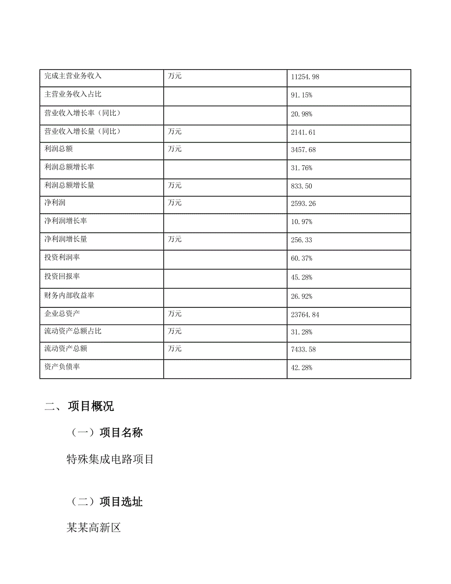 特殊集成电路项目投资计划书_第4页