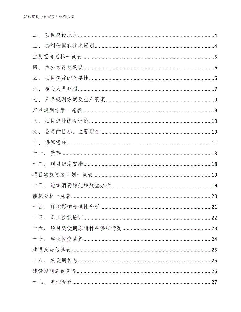 水泥项目运营方案（模板范文）_第2页