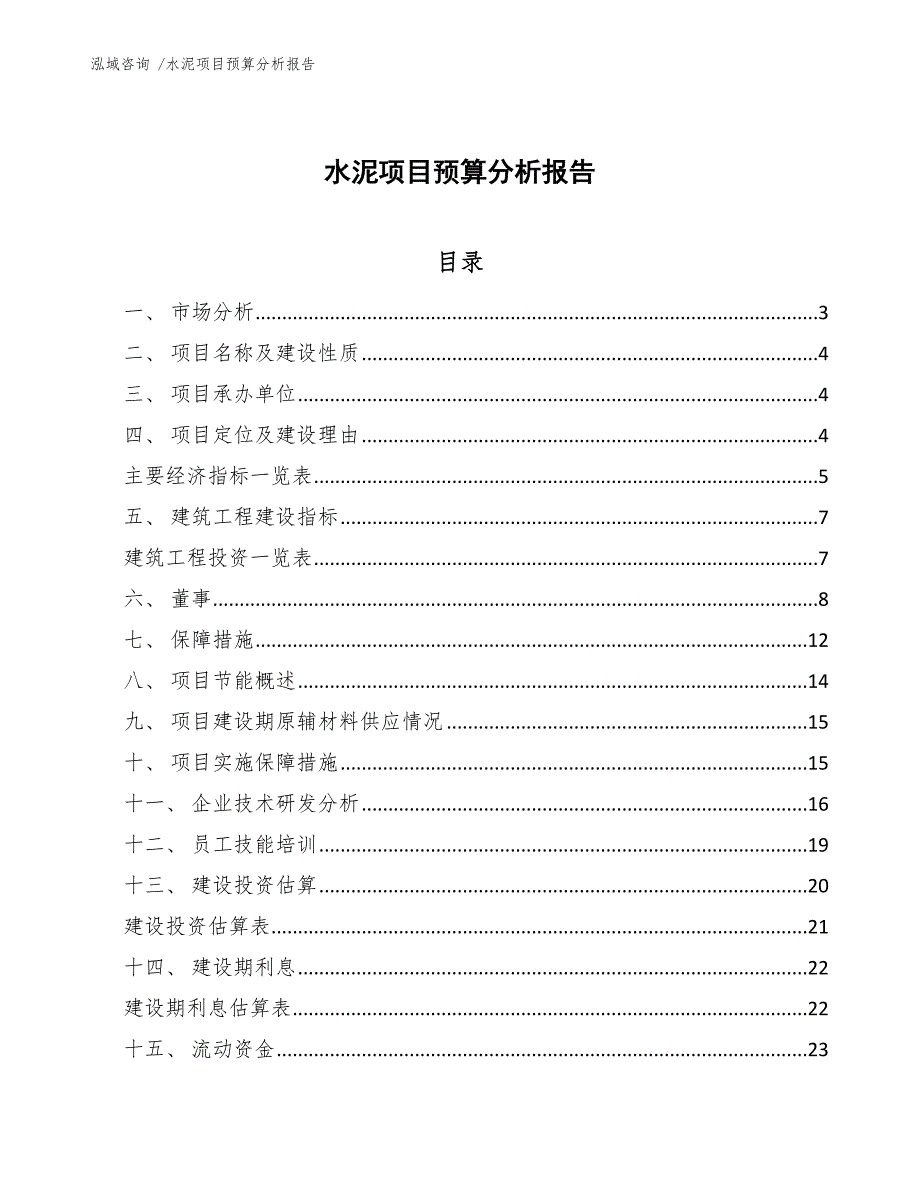 水泥项目预算分析报告（参考范文）_第1页