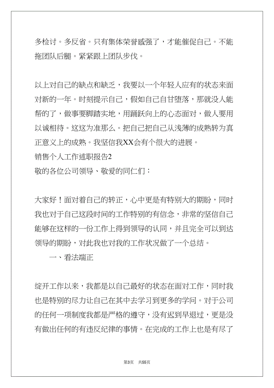 销售个人工作述职报告(共53页)_第3页