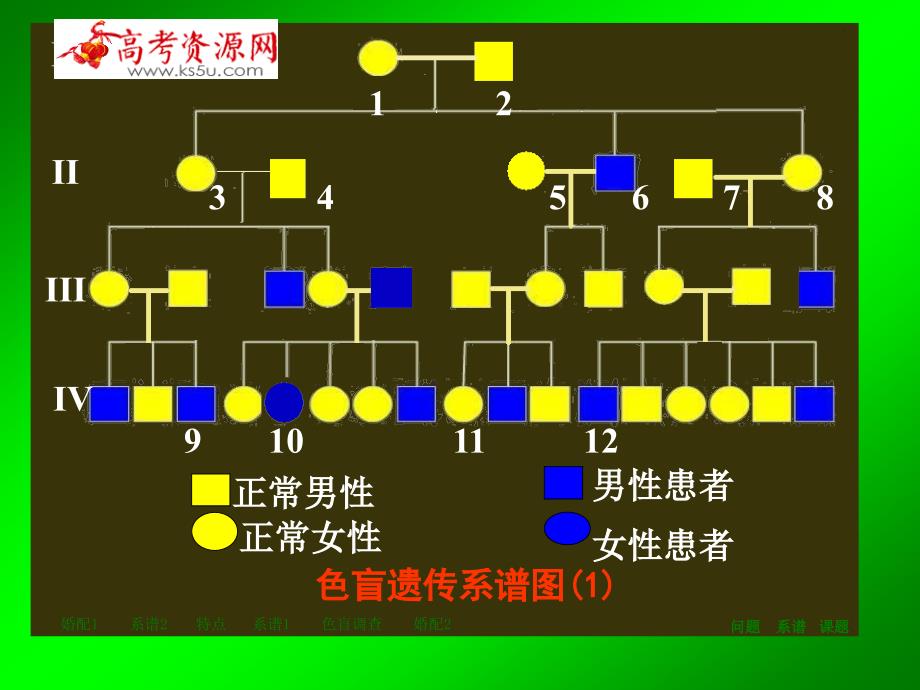 第三节 性别决定和伴性遗传（课件1）._第1页