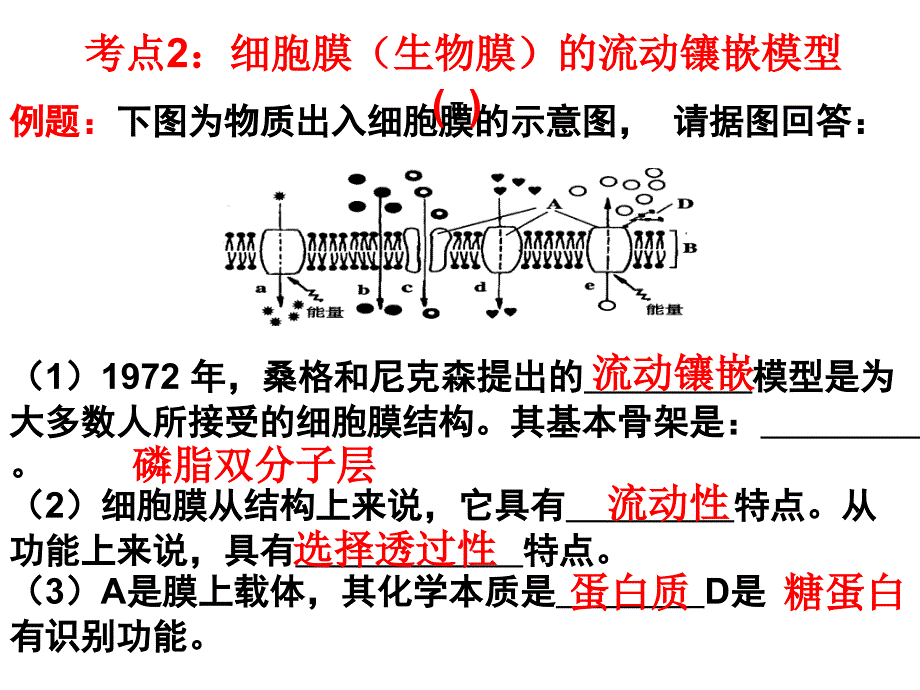 高考生物二轮专题复习课件：细胞的基本结构_第4页