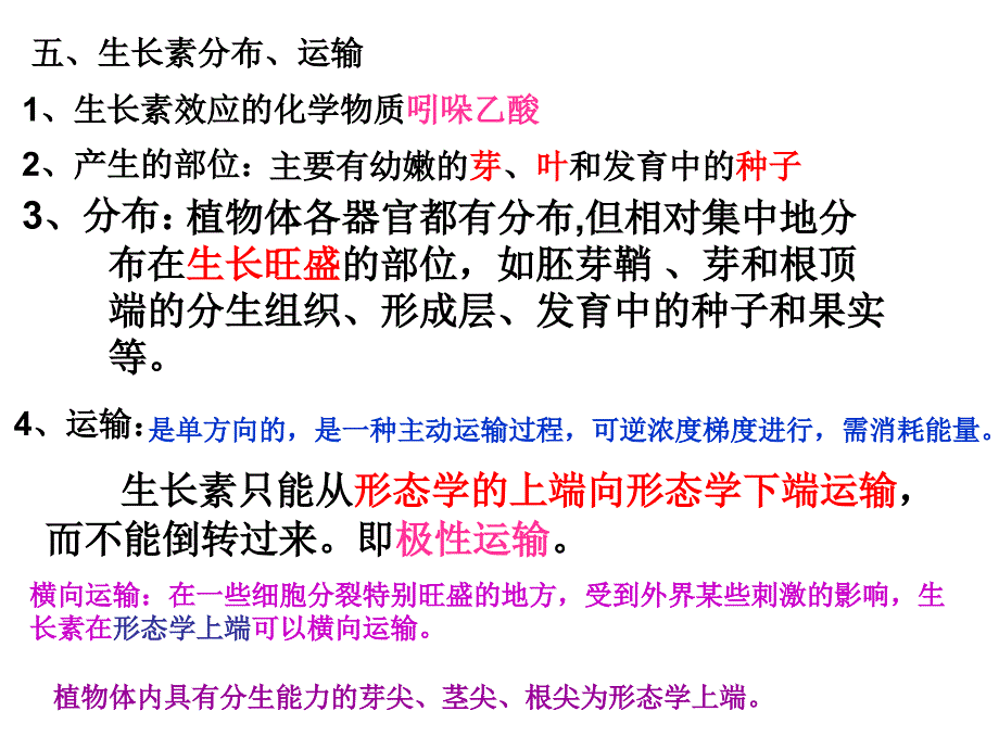 生物：高二生物复习课件（新人教版必修3第3章）_第4页