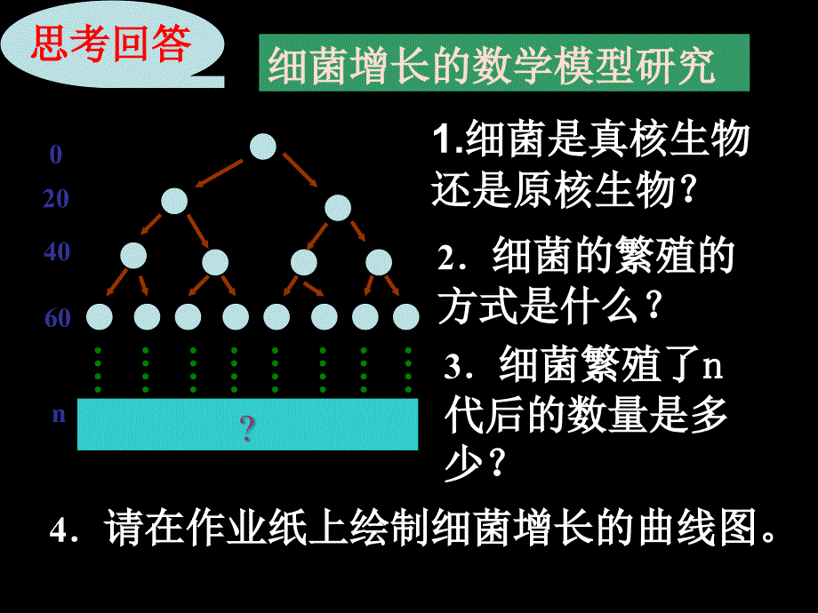 第2节 种群的数量变化-唐海_第3页