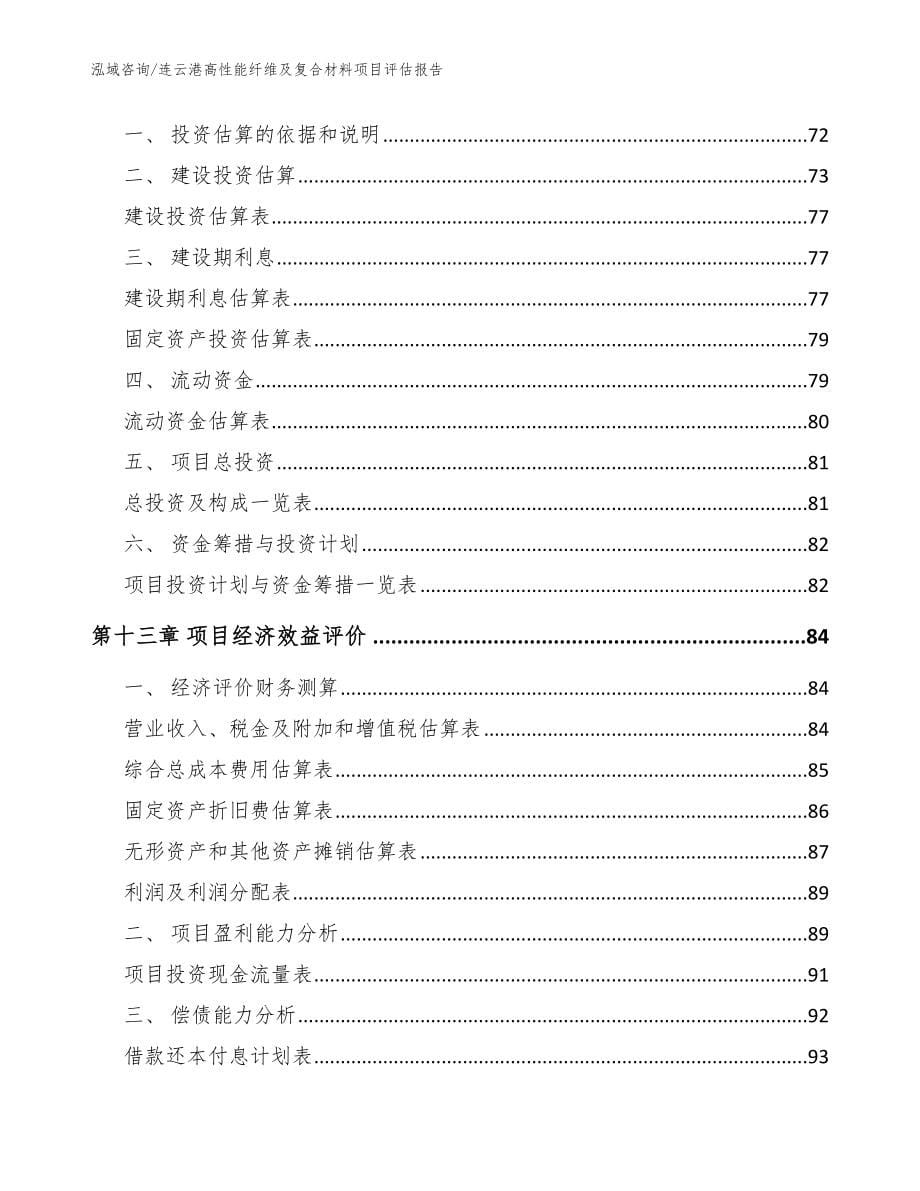 连云港高性能纤维及复合材料项目评估报告（模板范文）_第5页