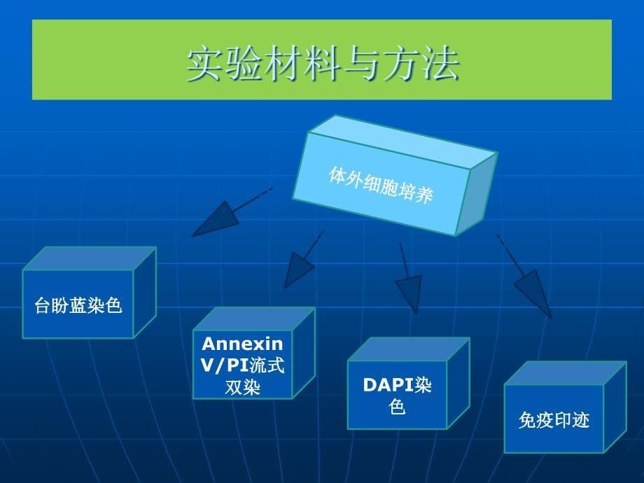 千层纸素诱导非小细胞肺癌PPT_第5页