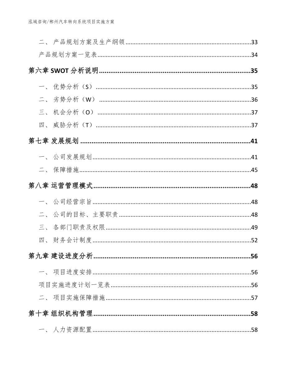 郴州汽车转向系统项目实施方案范文参考_第5页