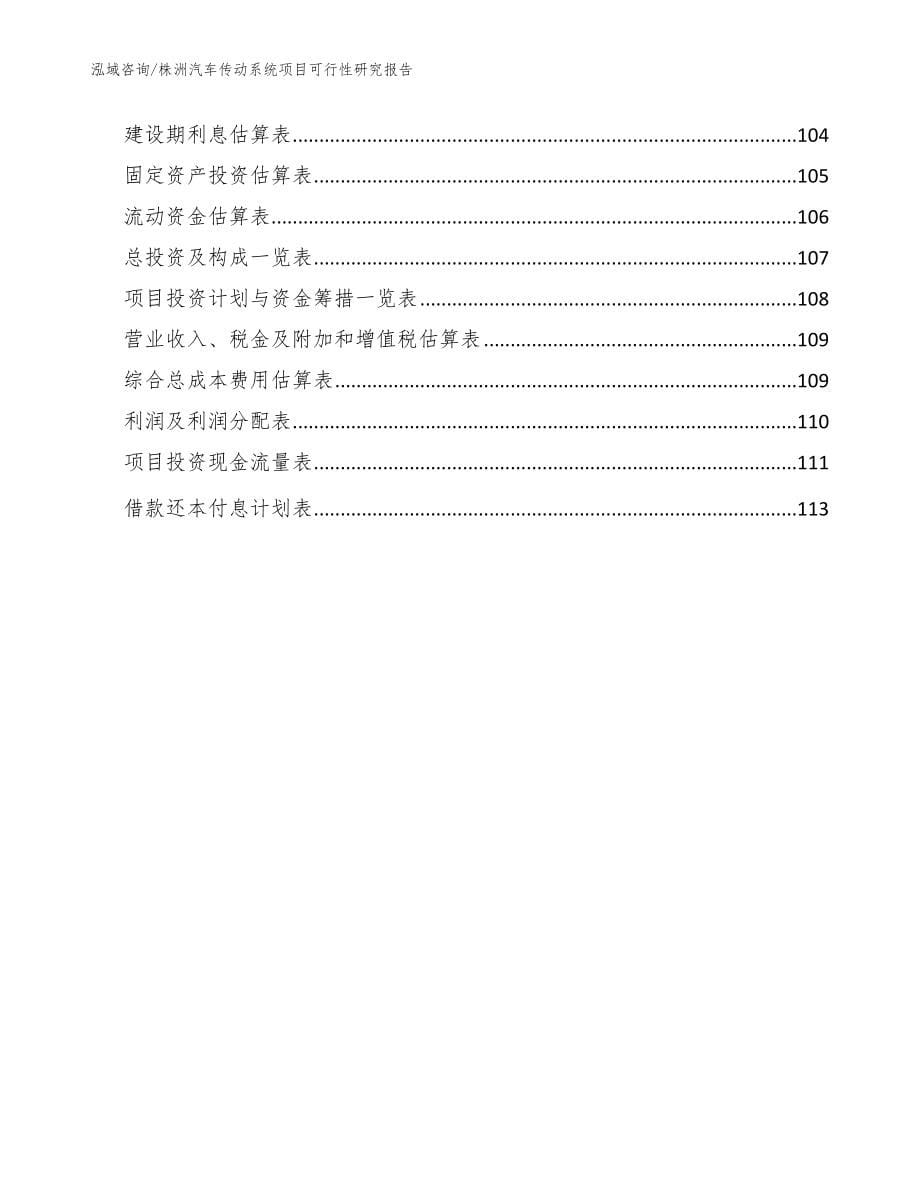 株洲汽车传动系统项目可行性研究报告参考模板_第5页