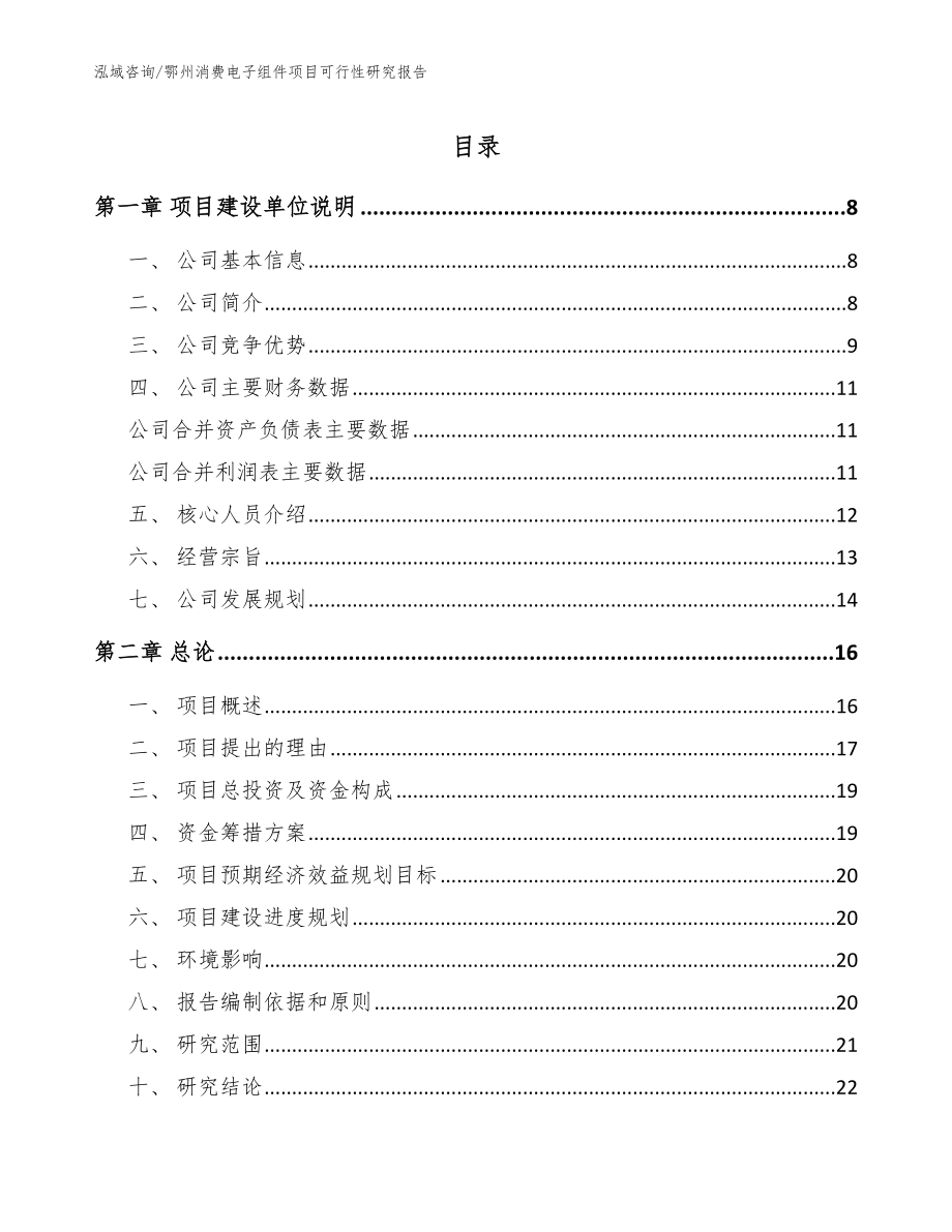 鄂州消费电子组件项目可行性研究报告范文_第1页