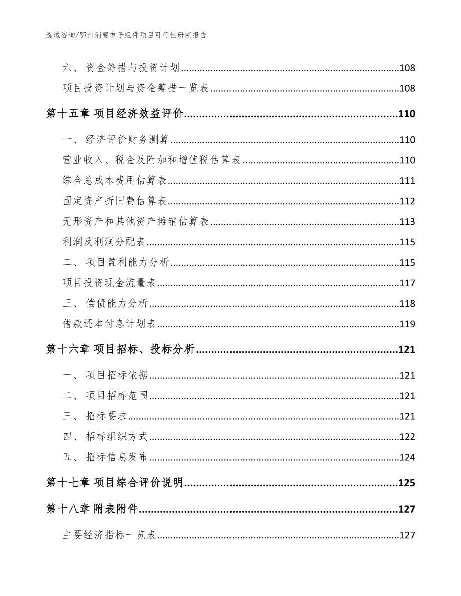 鄂州消费电子组件项目可行性研究报告范文_第5页