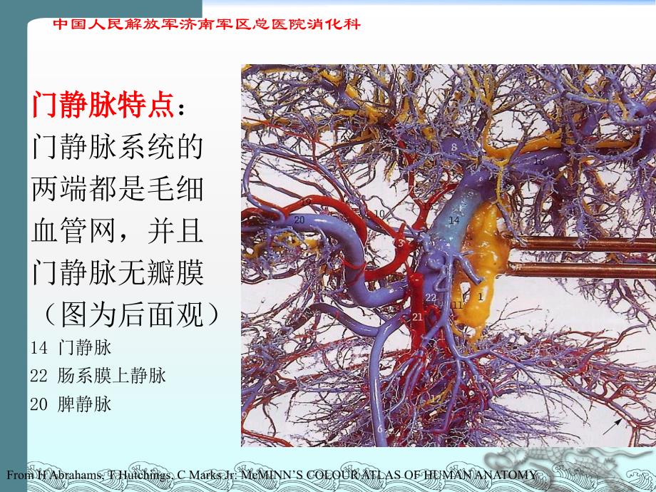 胰源门脉高压课件_第3页