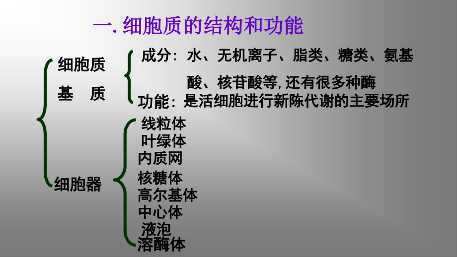 细胞器——系统内的分工课件_第4页