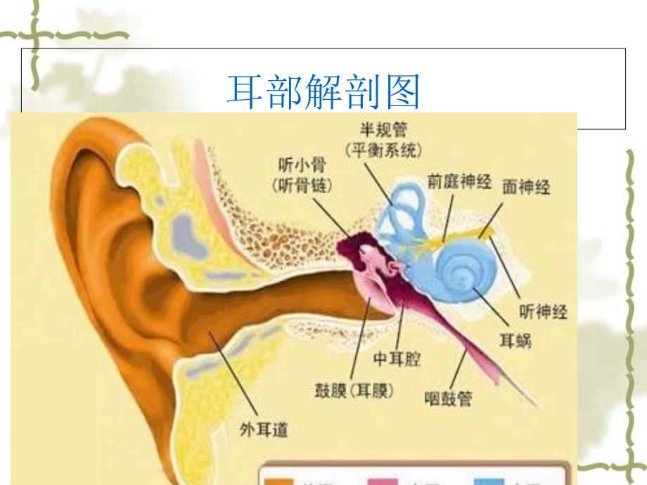 胆脂瘤中耳炎护理查房 课件_第2页